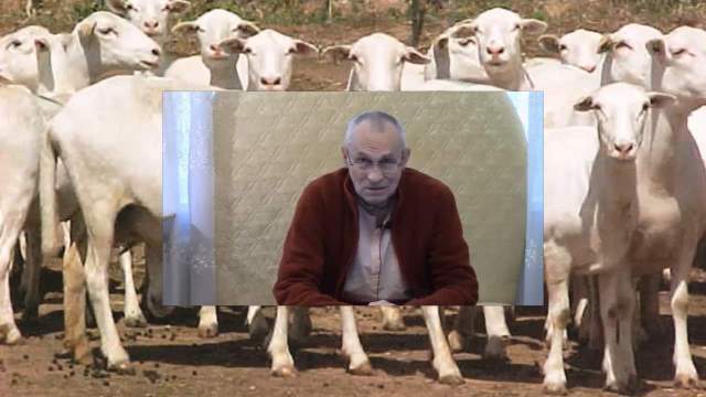 КЛОНИРОВАНИЕ СОЗНАНИЯ